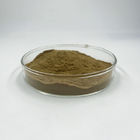 Brown Yellow Anti Oxidant Ingredients 10:1 Moringa Leaf Extract Powder