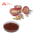 natural plant extracts  95% Proanthocyanidins Grape Seed Extract Powder Antioxidant Grape Seed Extract