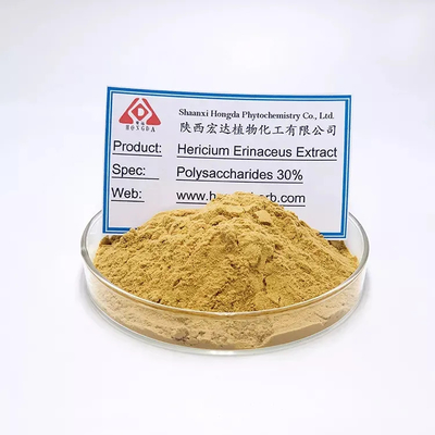 สารสกัดจากหอยสิงโต แคปซูล Hericium Erinaceus สําหรับคนที่มีการย่อยอาหารที่อ่อนแอ