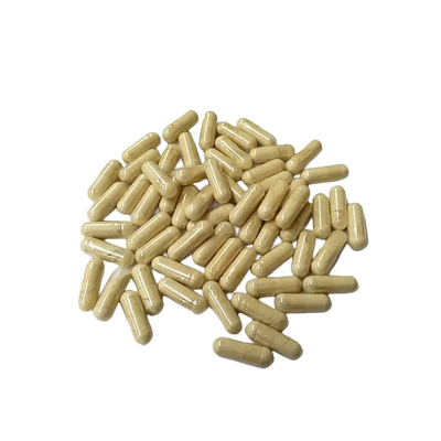 แคปซูลสารสกัด Hericium Erinaceus 30% ของธรรมชาติจาก HONGDA