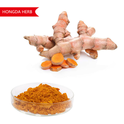 สารสกัดจากพืชที่บริสุทธิ์ Curcuma Longa Powder 95% HPLC