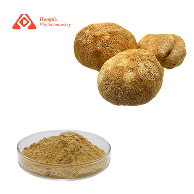 30% รายละเอียด แคปซูล Hericium Erinaceus ของธรรมชาติ สําหรับการดูแลสุขภาพ